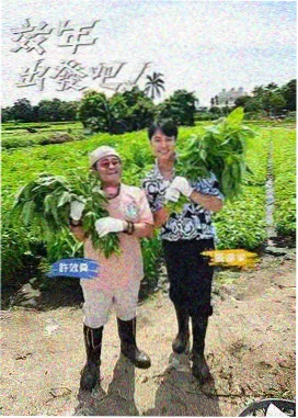 福利视频排行榜第三